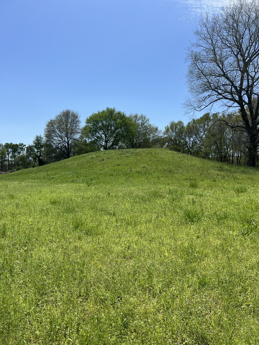 Scott Hammerstedt tweet media