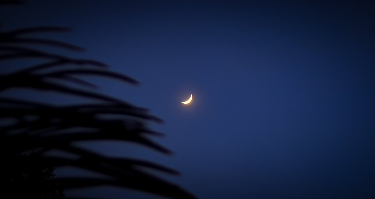 Crescent moon 🌒 #moon #night #night #nature #photography