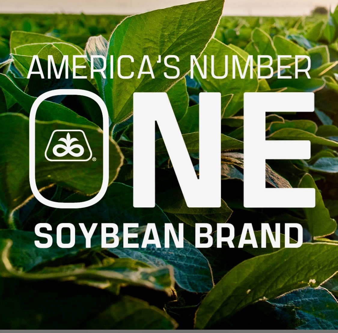 Mike Wardyn (@wardynmi) on Twitter photo 