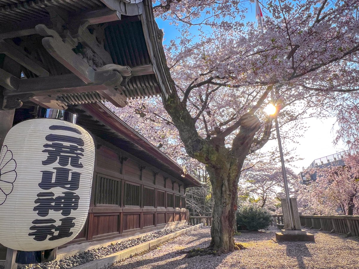 宇都宮二荒山神社。
鳥居と石段と桜とLRTのコラボ写真を早く撮りたい。