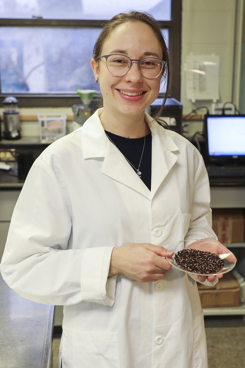 Avoiding food with chemically modified ingredients is a growing demand. @bumperscollege Ph.D. student Annegret Jannasch is working with professor Ya-Jane Wang to explore a 'clean-label' starch using purple rice.  aaes.uada.edu/news/wang-pigm… @AginArk @AgIsAmerica #SouthernAgResearch