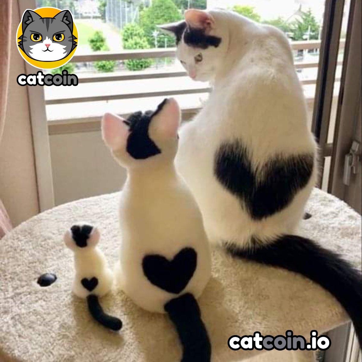 Catcoin loves spreading the love on Caturdays! - $15

• Follow <a href="/officialcatcoin/">Official Catcoin</a>
• Retweet
• And comment #Caturday #Catcoin #USDT

24 hours