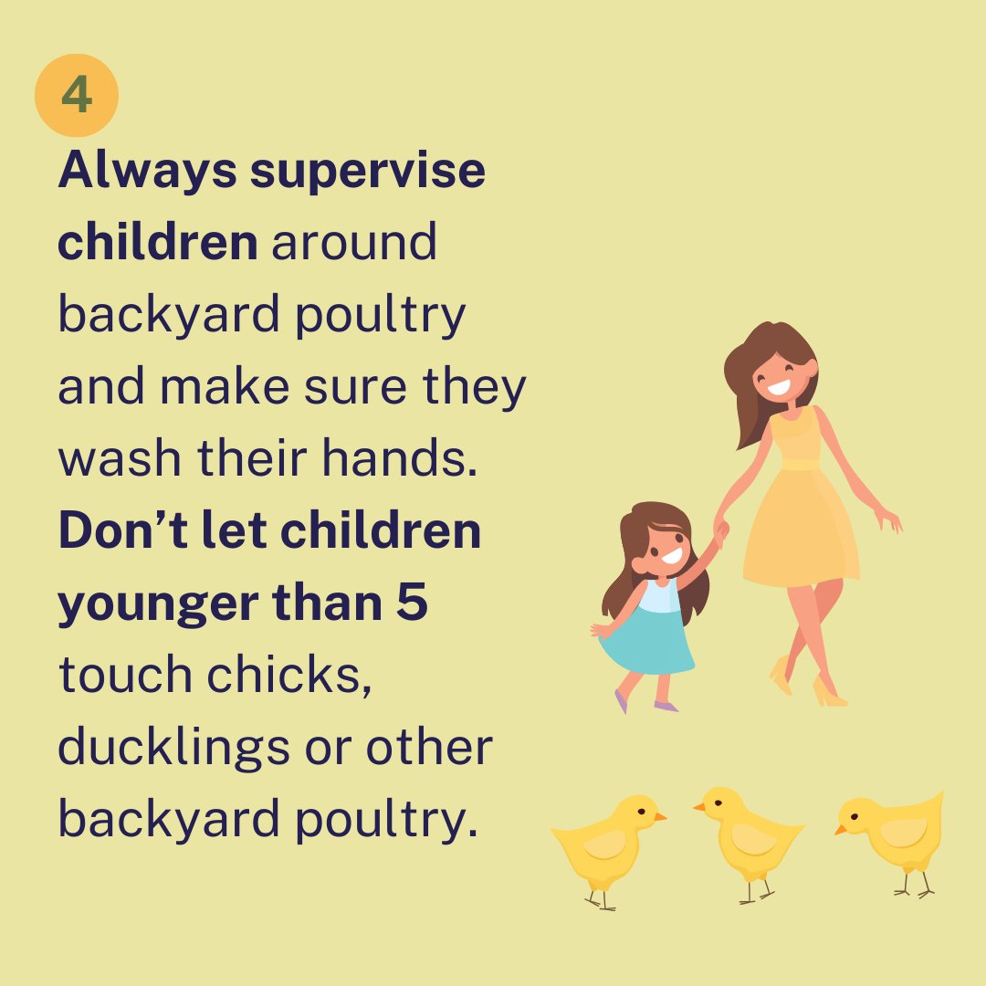 An OHA report in this week’s edition of the CDC Morbidity and Mortality Weekly Report details an investigation into a case of salmonellosis – the disease caused by Salmonella bacteria – in a newborn whose parents kept backyard poultry: ow.ly/O8pN50RfoJh