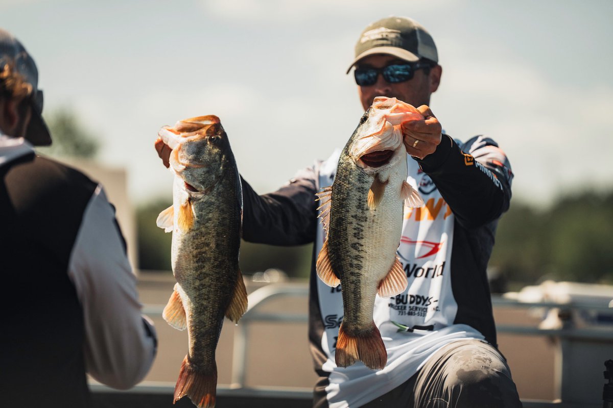HumminbirdFish's tweet photo. After Day 1️⃣ John Garrett is leading the @bassmaster Elite on Harris Chain of Lakes with 24lbs 2oz! Keep it rolling, John! 👏 #MinnKota #Humminbird

#MinnKotaPro #HumminbirdPro https://t.co/vwismYUfNH