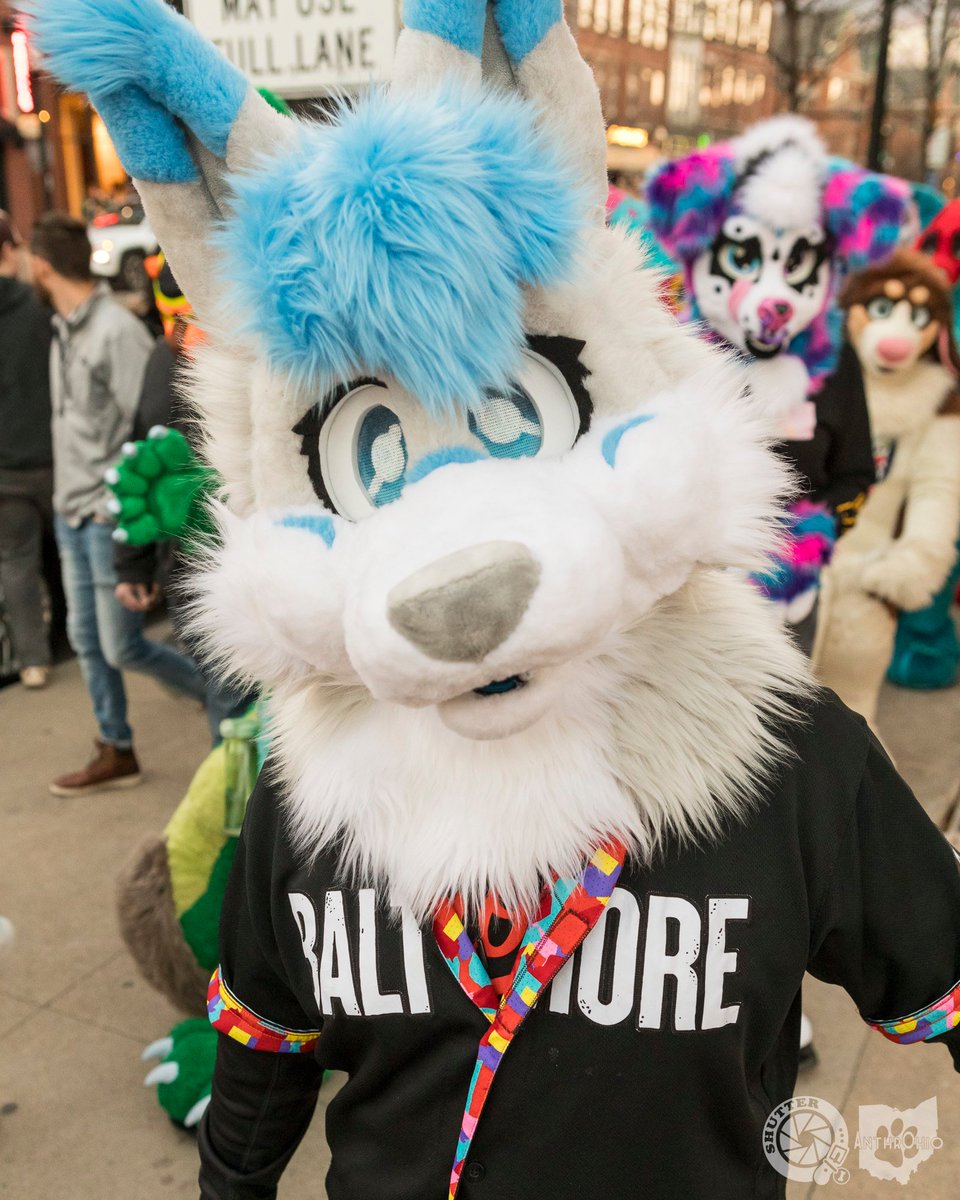 Happy #FursuitFriday !! Here's a picture of me at the recent Ohio Furs Furwalk, and since it's baseball season I figured I should break out the jersey for this, Go O's!! #Birdland 📷: @BearDogShutter 🪡: @/youngwolvessuits (Instagram)