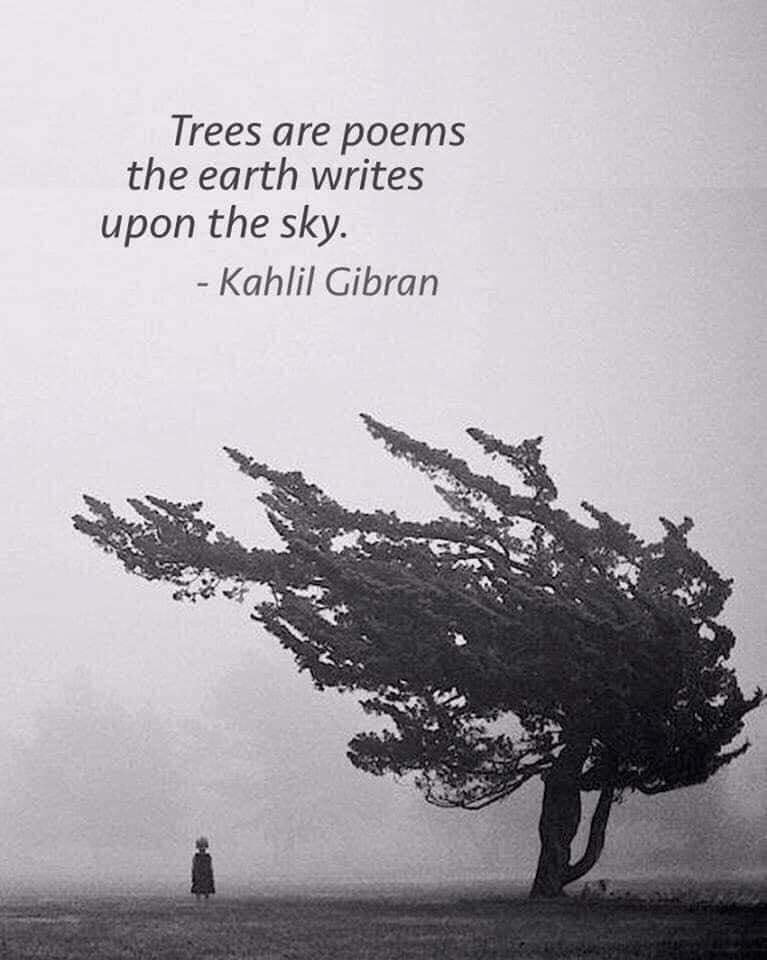 #trees #poems #earth #sky #KahlilGibran #Maximus #ultimate #campertrailer