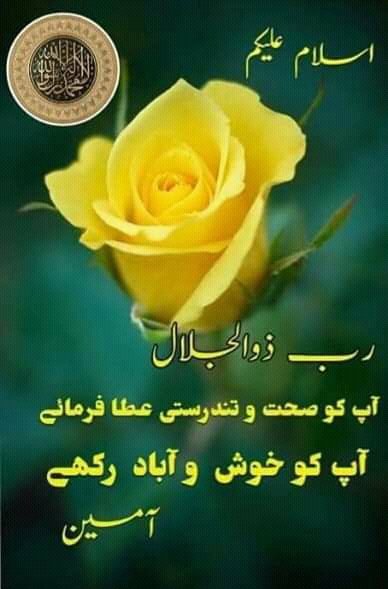 Assalamu Alekum wa Rehmatulah Barkath Subh Bakhair Dear 💖💖 Twitter Friends 💖💖