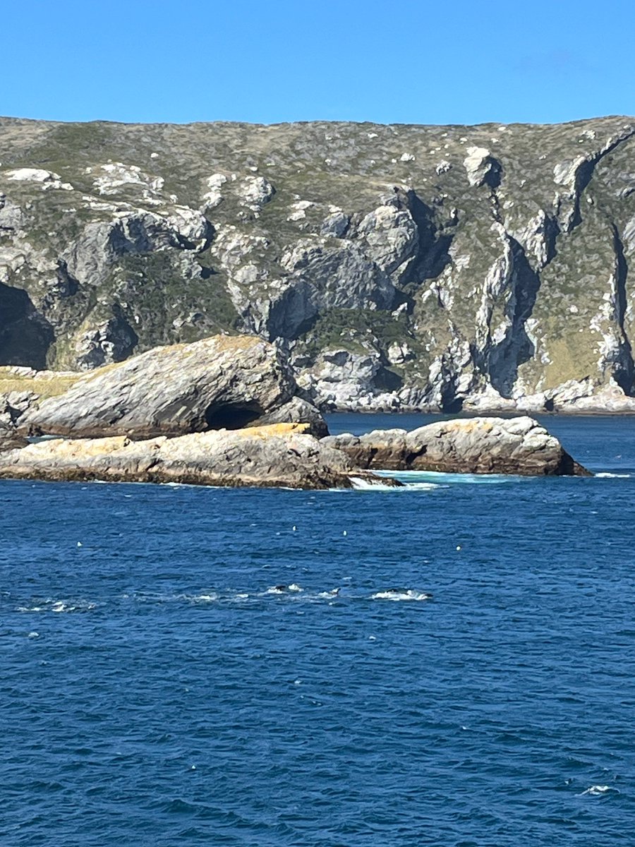 unplastify's tweet photo. Una aventura, una charla a bordo, una isla deshabitada y una remota playa dónde nuestra capitana @TatiBesada encontró algo... ¿inesperado?
Lee el resumen del viaje a bordo del buque “Resolution”, de National Geographic - Lindblad Expeditions.
👉 https://t.co/EcSOOtrEvh https://t.co/SXaOhPPI3f