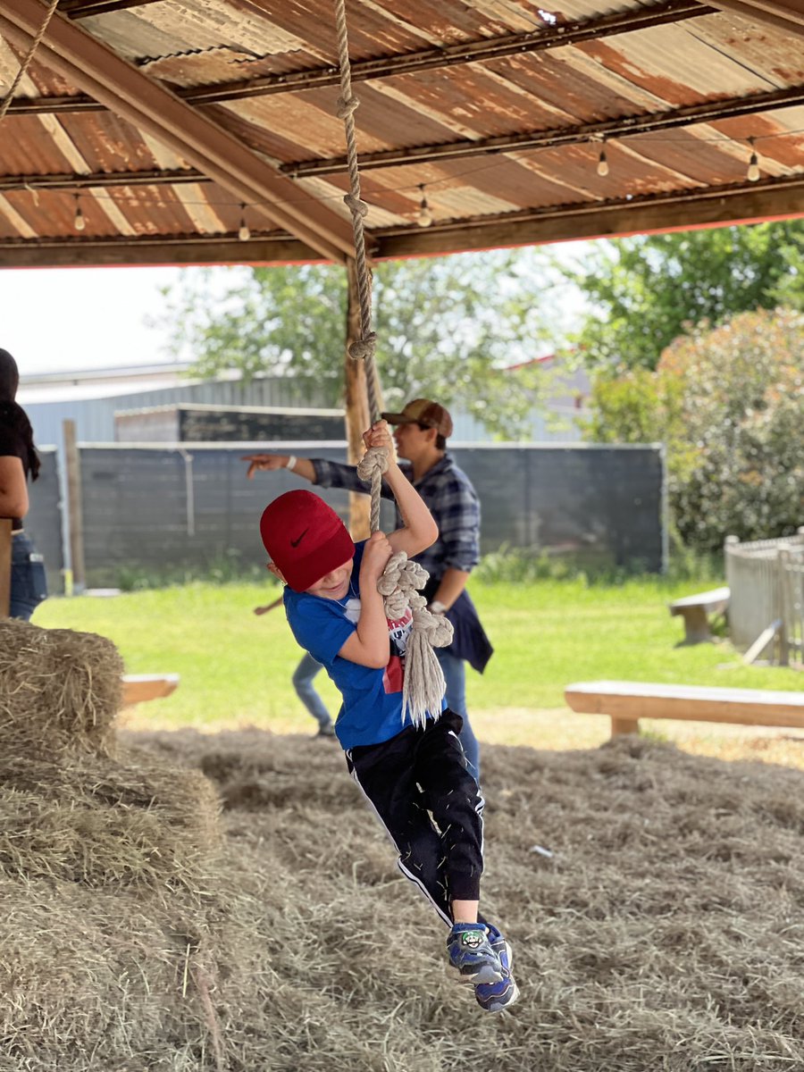 MissPatyQ's tweet image. Our students had a blast today at @dewberryfarm ! They got their hands dirty planting tomato seeds, rode the exciting train, and even met some friendly farm animals!  #FieldTripFun #LearningAboutAgriculture #DewberryFarm @ReedElementary #ReedBuildsMinds @JLopezEDU