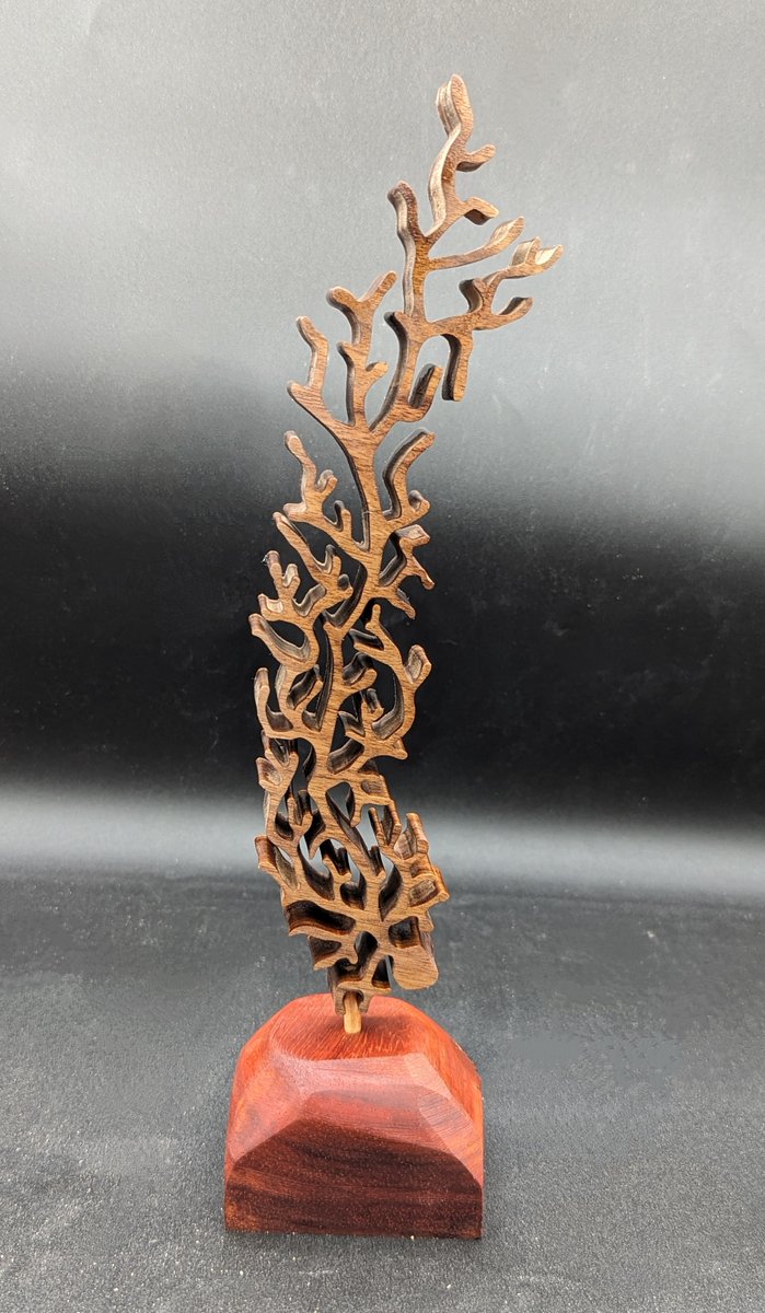Byproduct of one of my recent commissions (I try to use as much of the wood cuts as I can and limit waste). I made this 1ft tall walnut #neuron on a padauk wood base. It is available for purchase. artcloud.market/art/tall-walnu…