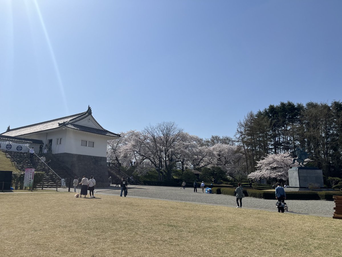 今の山形市。
霞城公園の様子✋🏻