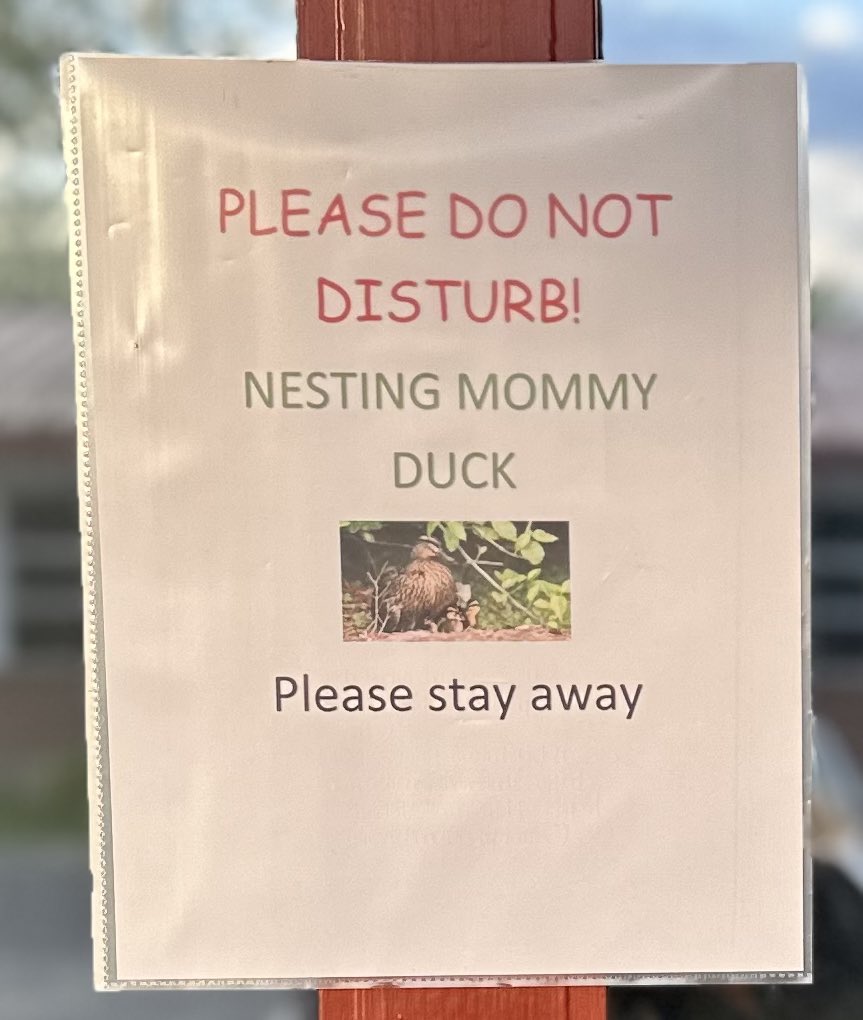 RosevilleAdultSchool tweet media