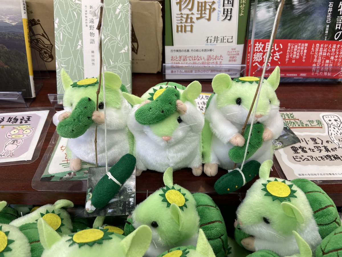 はむかっぱ情報】 はむかっぱちゃんバズってるので知ってる情報を少し
