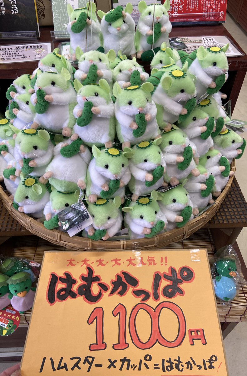 はむかっぱ情報】 はむかっぱちゃんバズってるので知ってる情報を少し