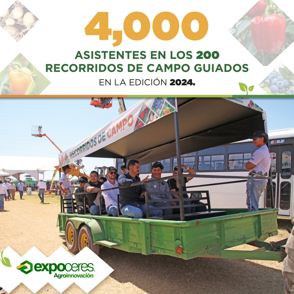 Los recorridos de campo guiados les mostraron a nuestros visitantes los resultados de los distintos proyectos de cultivos, ¿te subiste a alguno? 😁🍅🌽
.
.
.
.
.
#Expoceres #LaMasAgroDeMx #Agricultura #Sinaloa #Tomate #Maíz #Tractores #Semillas #campo #papas #ApapachandoAlCampo