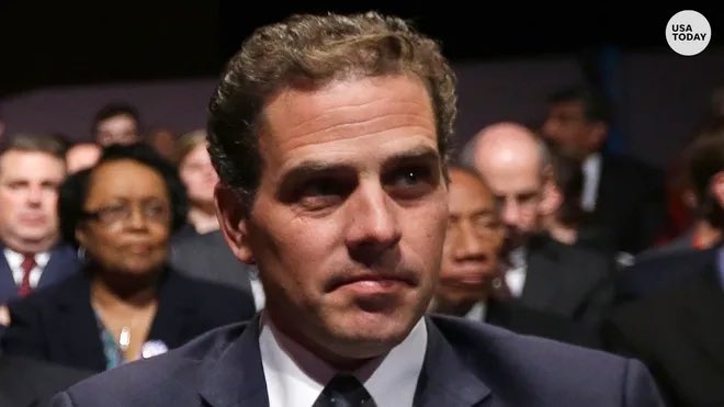 BREAKING NEWS: A Federal Judge appointed by Donald Trump has denied Hunter Biden’s request to have his charges dismissed. Biden said that this case was political and should dropped. His lawyers also requested the case be thrown out because of his plea deal, even though the…