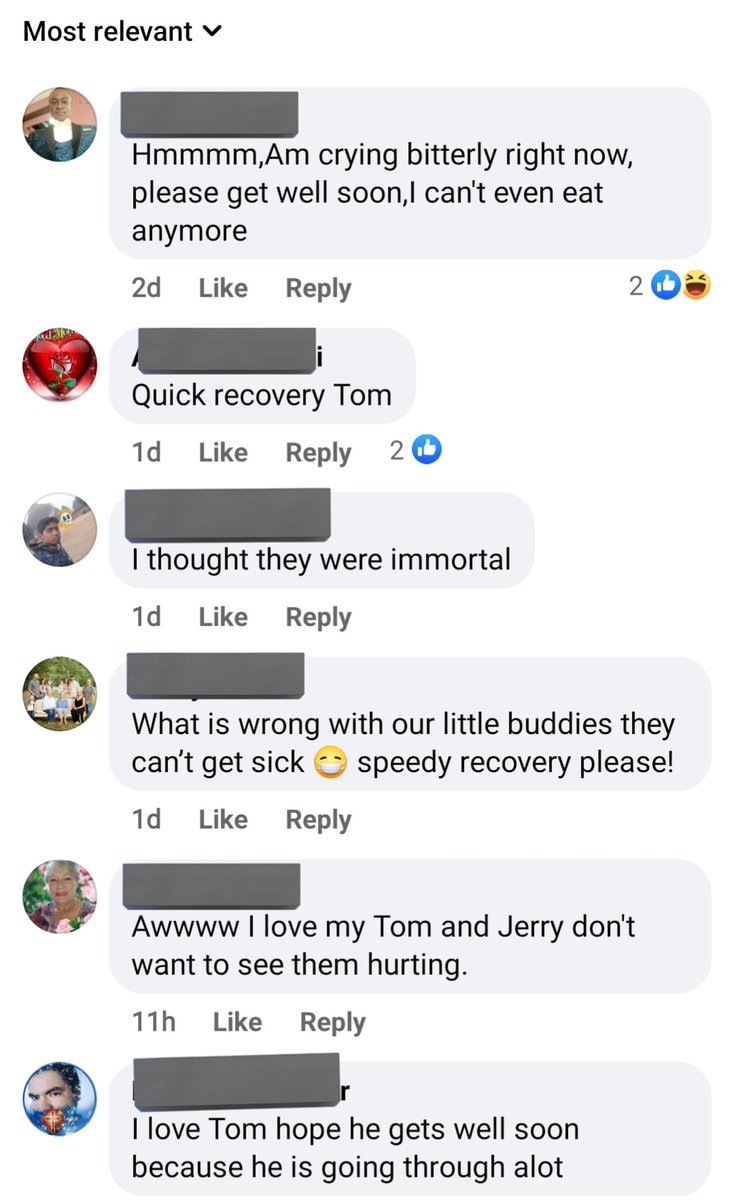 thottbaio's tweet image. 