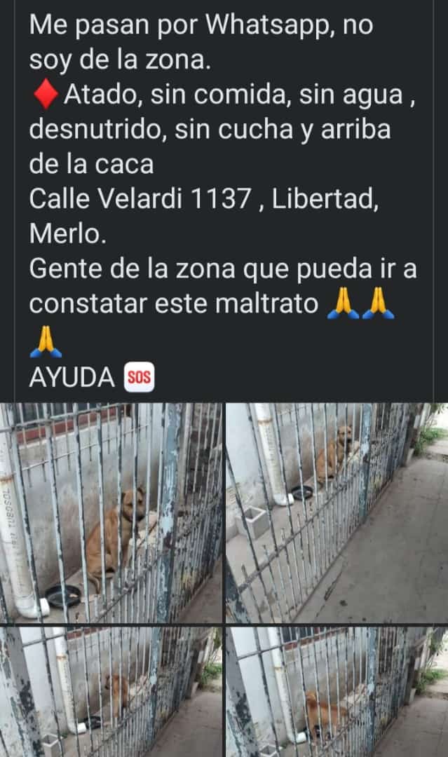 Denunciemos vecinos