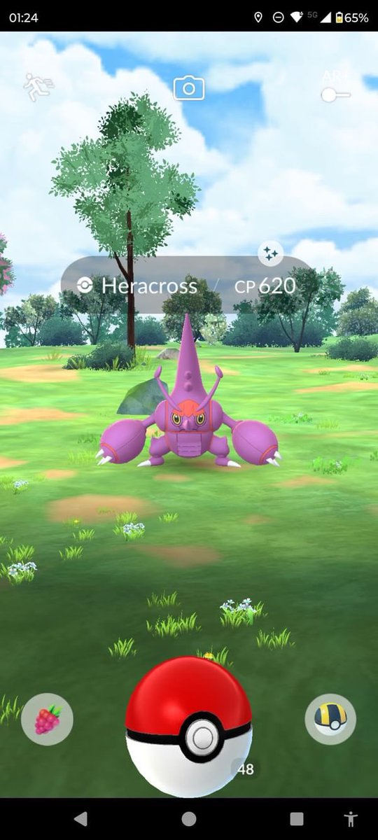 Retweet this for Shiny Heracross Luck! ✨ #PokemonGO