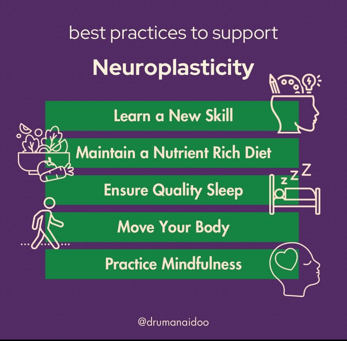 Did you know that we can keep the brain young through our daily activities? Maintaining neuroplasticity with age is so important for staying sharp. Neuroplasticityis the brain’s ability to adapt and reorganize in response to new experiences, learning, and environmental changes.