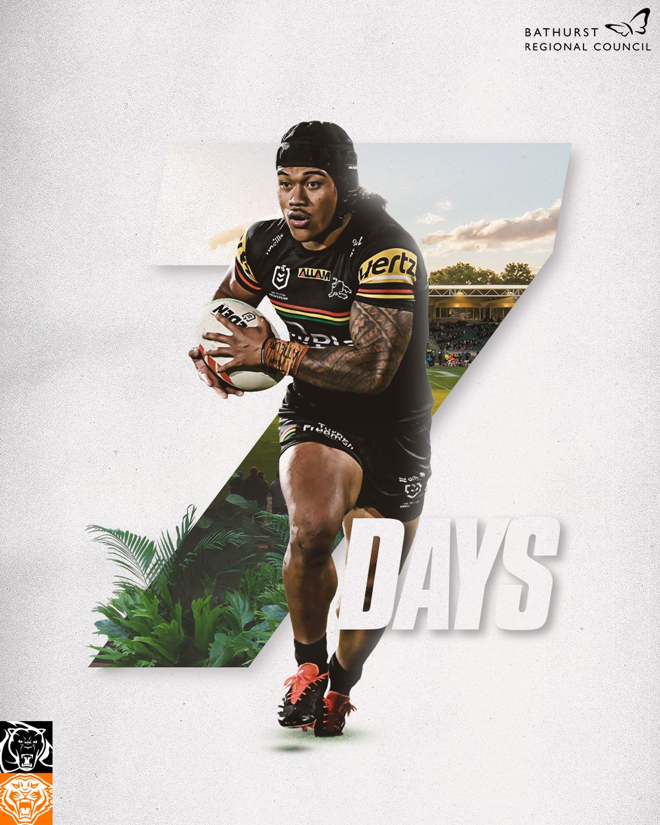 7 DAYS TO GO 🚌 The Royce Simmons Cup is up for grabs in Bathurst as we take on the Wests Tigers at Carrington Park. Secure your tickets🎟️ bit.ly/BathurstTix24 #pantherpride 🐾