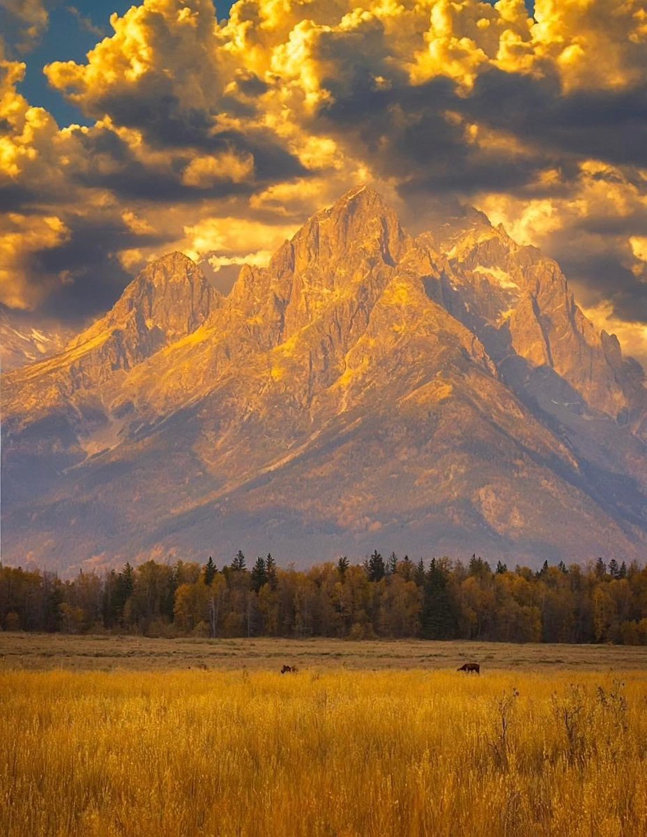 Sharing the beauty that is our United States of America. 🇺🇸 Grand Teton National Park in Wyoming. Stunning!