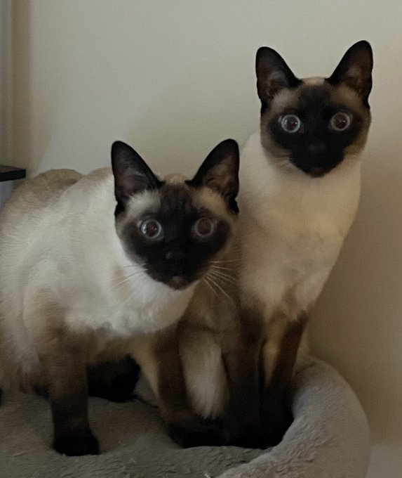 Hmmm, they may be the reason my head exploded. https://t.co/uZJAnUicU3