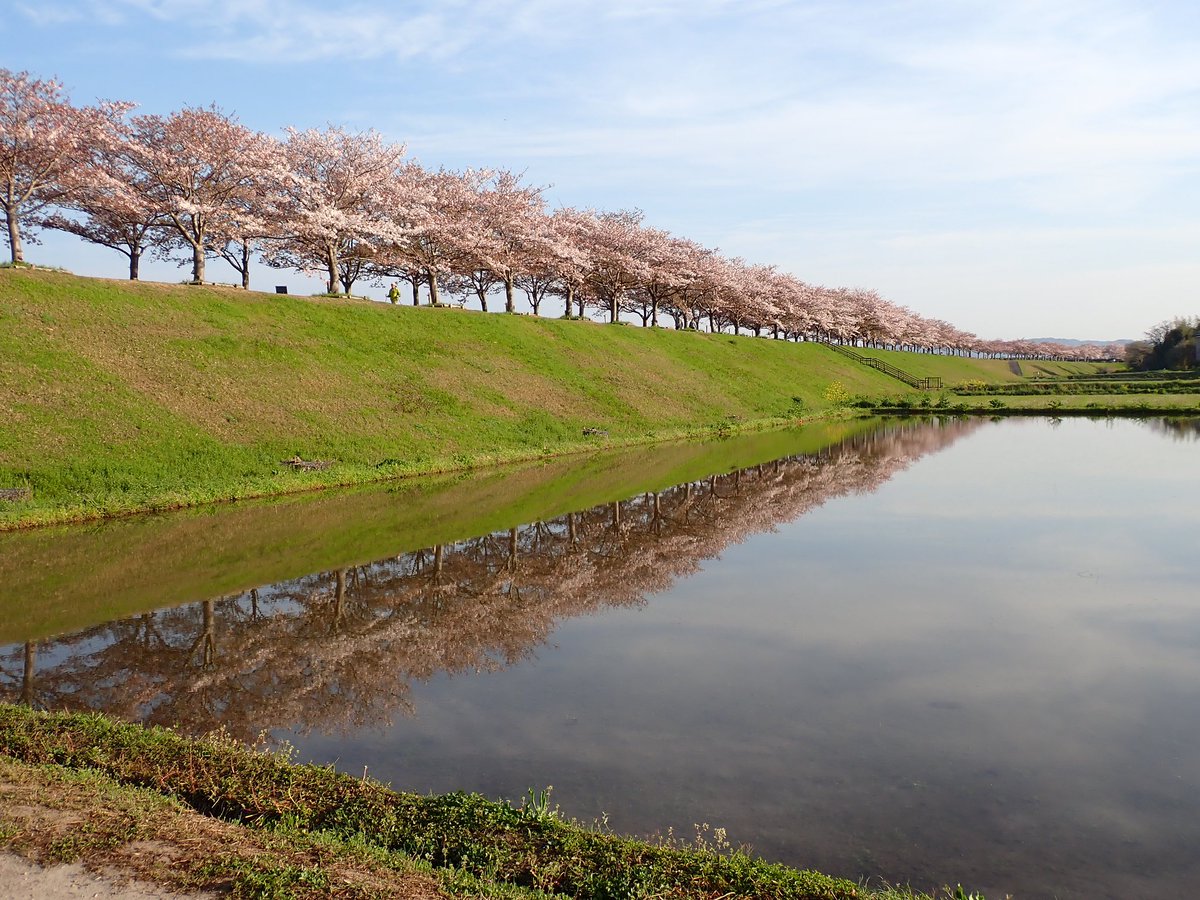 2828imai's tweet photo. 今日のカメラ… サイクリング、ランニング時に汗とか気にせずに使えると思って導入
コンデジだけど、中々良い感じ… https://t.co/1AjTZFZfxG