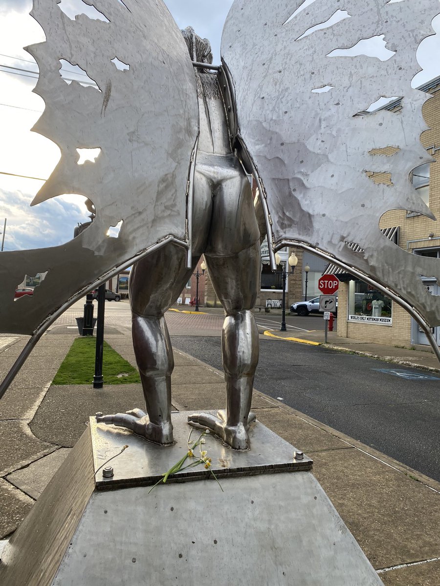 Ghost_Toastx's tweet photo. I got to see the beautiful Mothman ๐ฅน๐ค #mothman #crypid https://t.co/2YdOPtmX2h