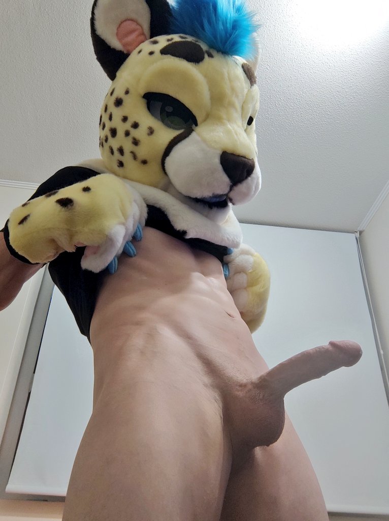 Evan Blessed AD tweet media