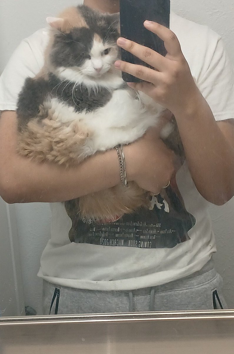 dante ♡ tweet media