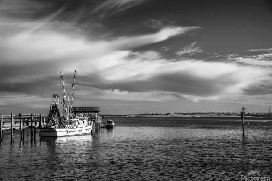 Black and White photography from Shemp Creek in Charleston can bring a dramatic flair to any living space. #artprints #artforsale #NatureBeauty #walldecor #blackandwhitephotography 

click link for pricing and to purchase buff.ly/4cQ0Rgy