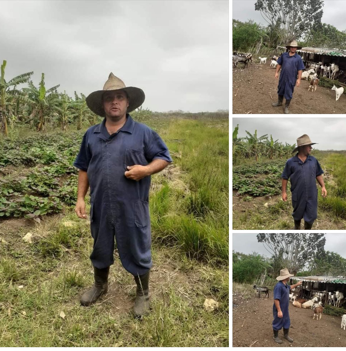 Se realiza recorrido al Proyecto de Desarrollo Local ..Los López.. del Municipio de #Guanajay en su condición de titular Yusbel Lopez Martinez .💪🇨🇺
#ArtemisaJuntosSomosMas