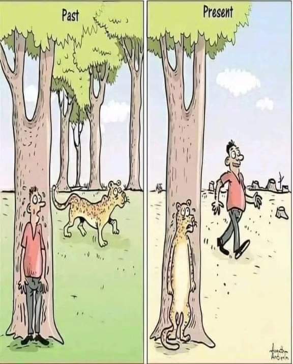 vimalkhawas's tweet photo. The profile of our environment. https://t.co/rdkrM7S3Q5