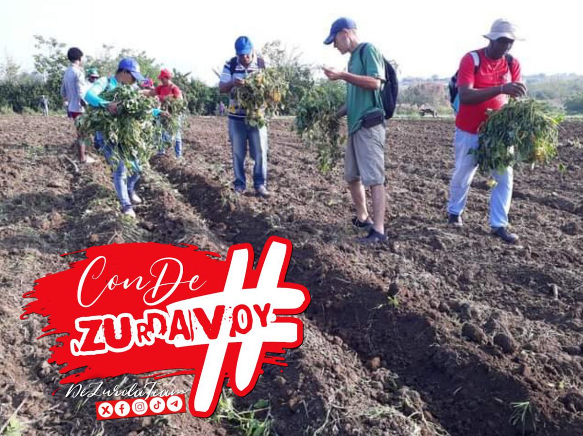 #ConDeZurdaVoy a respaldar la idea de Trabajar con la Calidad requerida, para lograr la Eficiencia y Respaldar la Productividad.
@DeZurdaTeam_
#DeZurdaTeam_🤝🐲