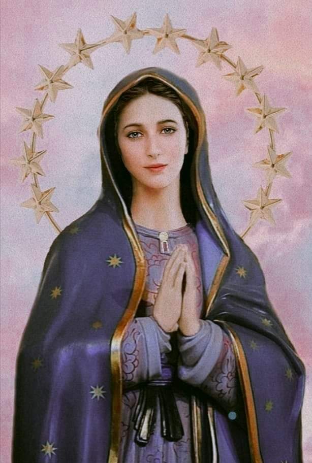 MADONNA SANTISSIMA AIUTACI TU ❤️ ❤️ ❤️ BUONGIORNO A TUTTI VOI SPERANDO SEMPRE NELLA PACE 🙏🙏🙏