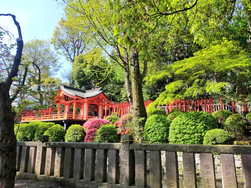 文京花めぐり探検ラリー、根津神社にて！はじまりました！！☺🌸 みんながんばって〜💪🎉