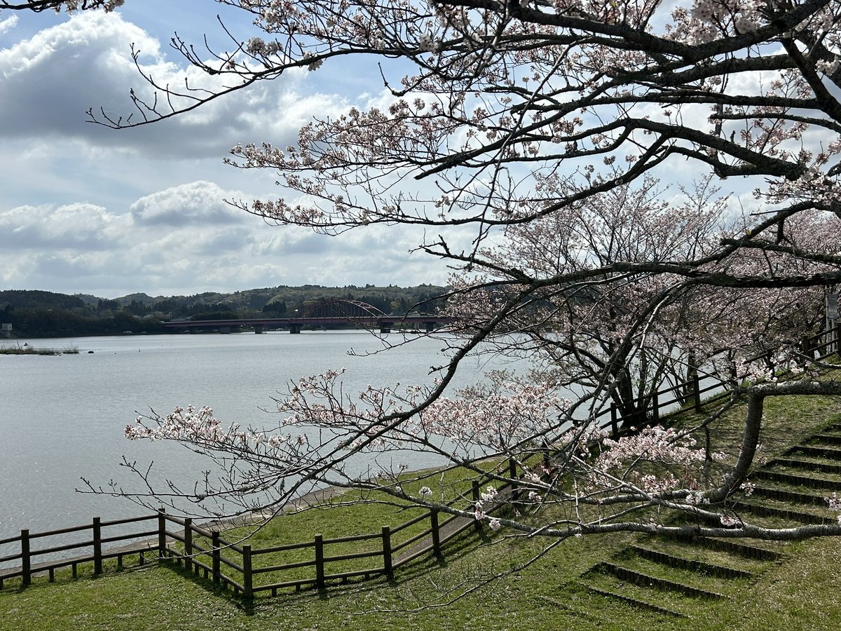 ShinyaBoso's tweet photo. 高滝の桜です😃
仕事で通り掛かっただけです😑 https://t.co/rAGyEk37gP