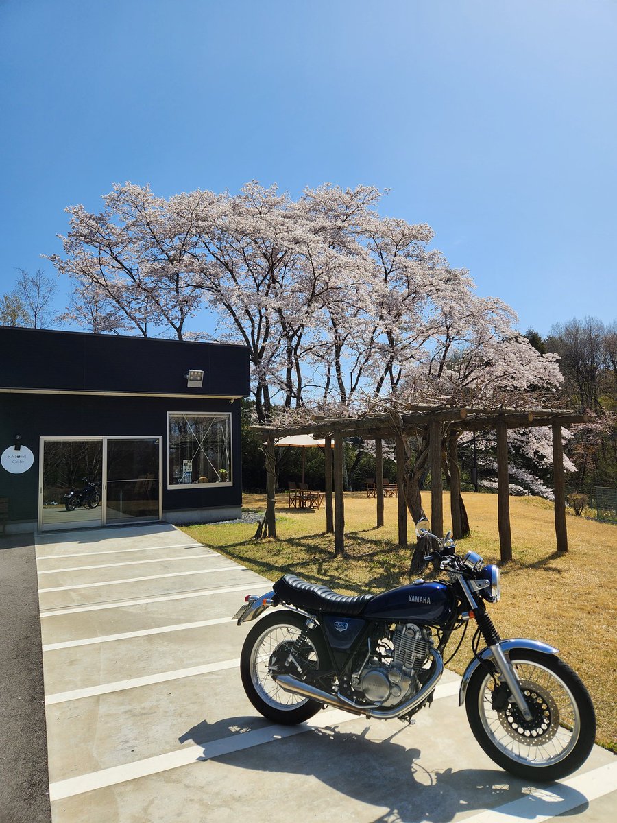 juni_jp1's tweet photo. お花見🌸
#BATOWLCafe
#SR400 https://t.co/5MjYCwa2eF