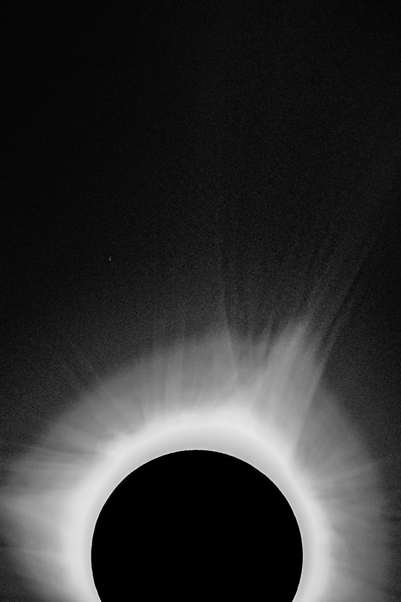 nickolaswolf tweet media