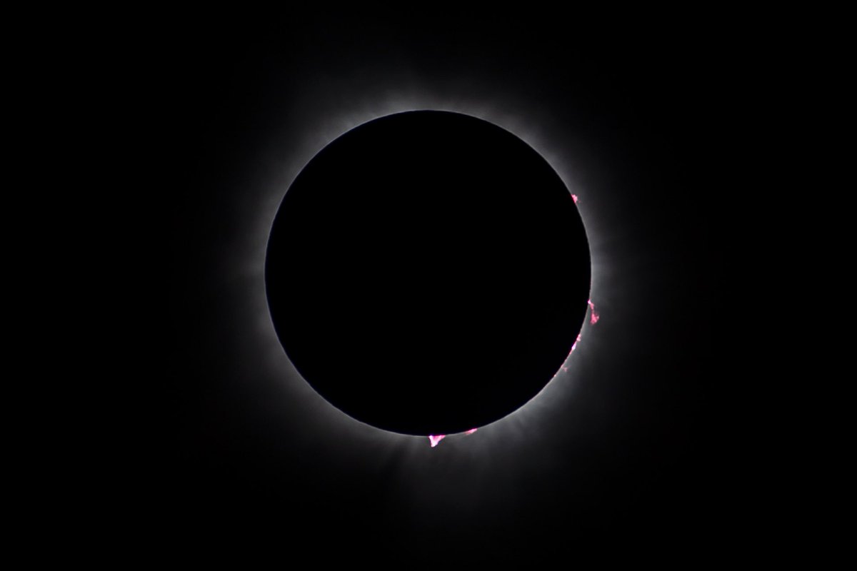 nickolaswolf tweet media