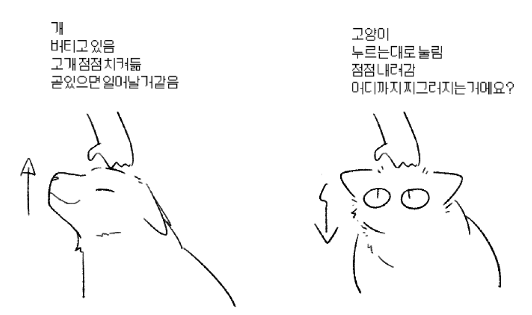 KKbleo3's tweet photo. ㅁㅈ... https://t.co/E0H5c1EBeM