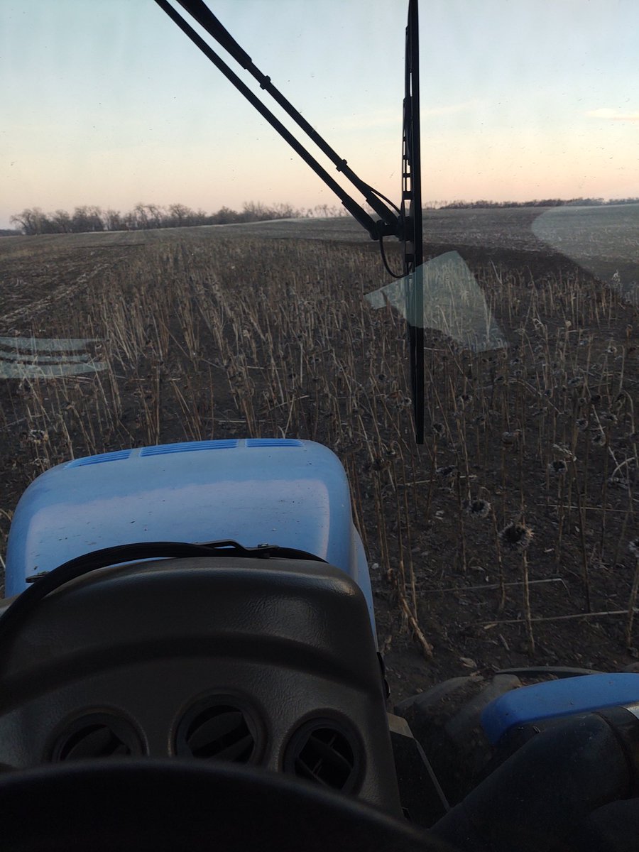 CHS Sunflower plot going under