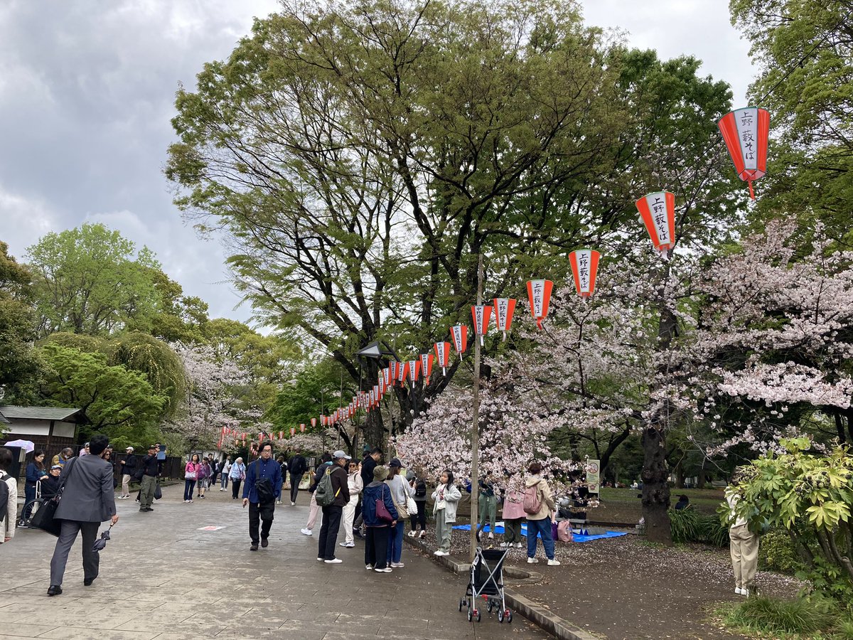 okok_810's tweet photo. 桜舞い散るなかに

忘れた記憶と

君の声が戻ってくる

…です。

動物園デートしませんか？🐼 https://t.co/kwwzTlrJTf
