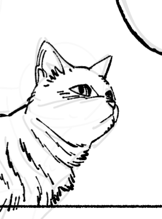 イケメンのモブ猫 