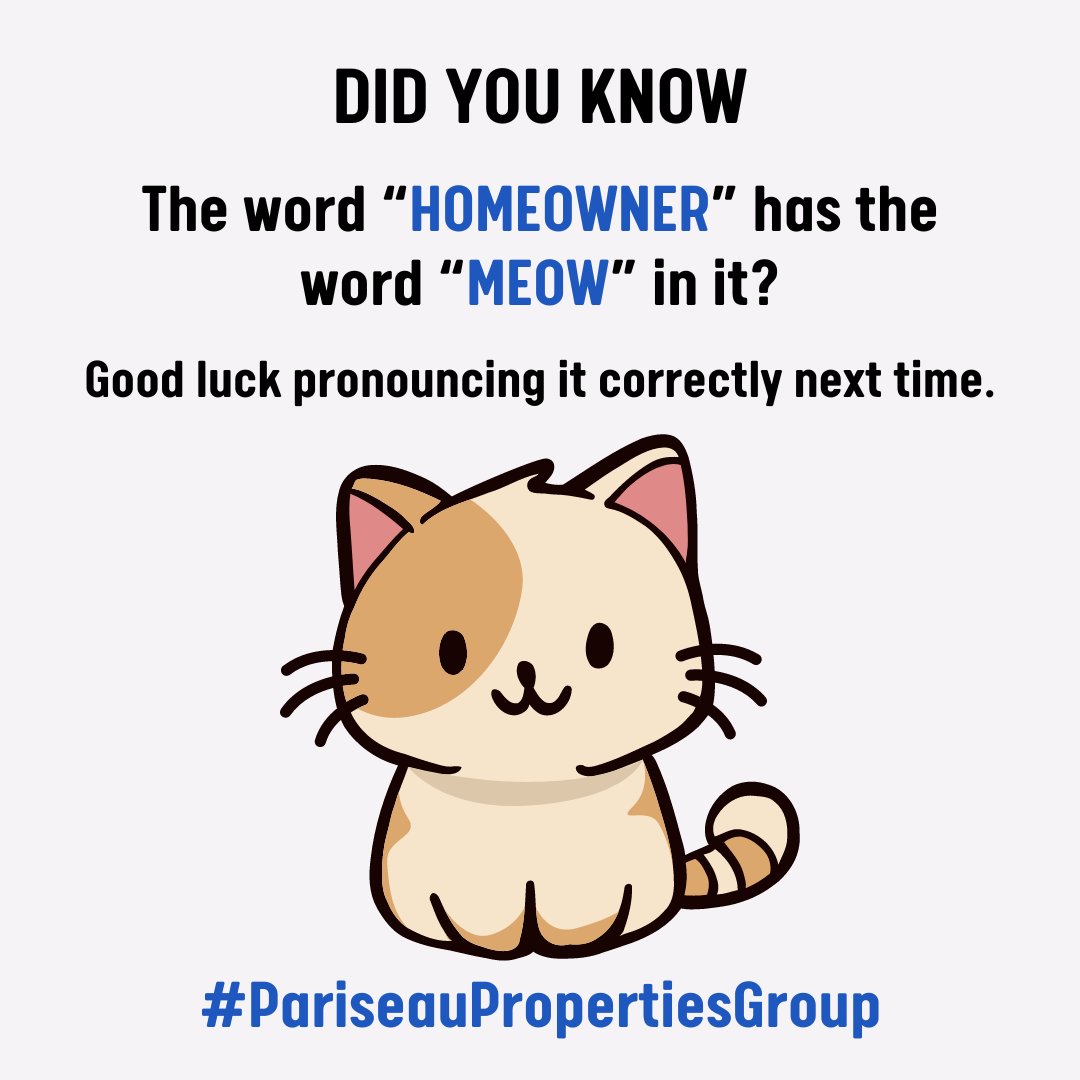 🐈‍⬛ Happy Friday 🐈
#meow #homeowner #purrfect #happyFriday #Friyay #homeowners #happyhome #AndreaPariseau #Edpariseau #realtors #PariseauPropertiesGroup #C21NorthEast #theDSGal