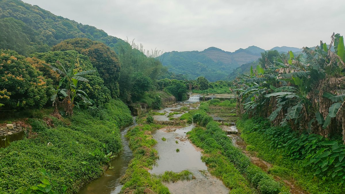 近几日学校组织的外出写生，慢悠悠地晃在广州郊区的村庄