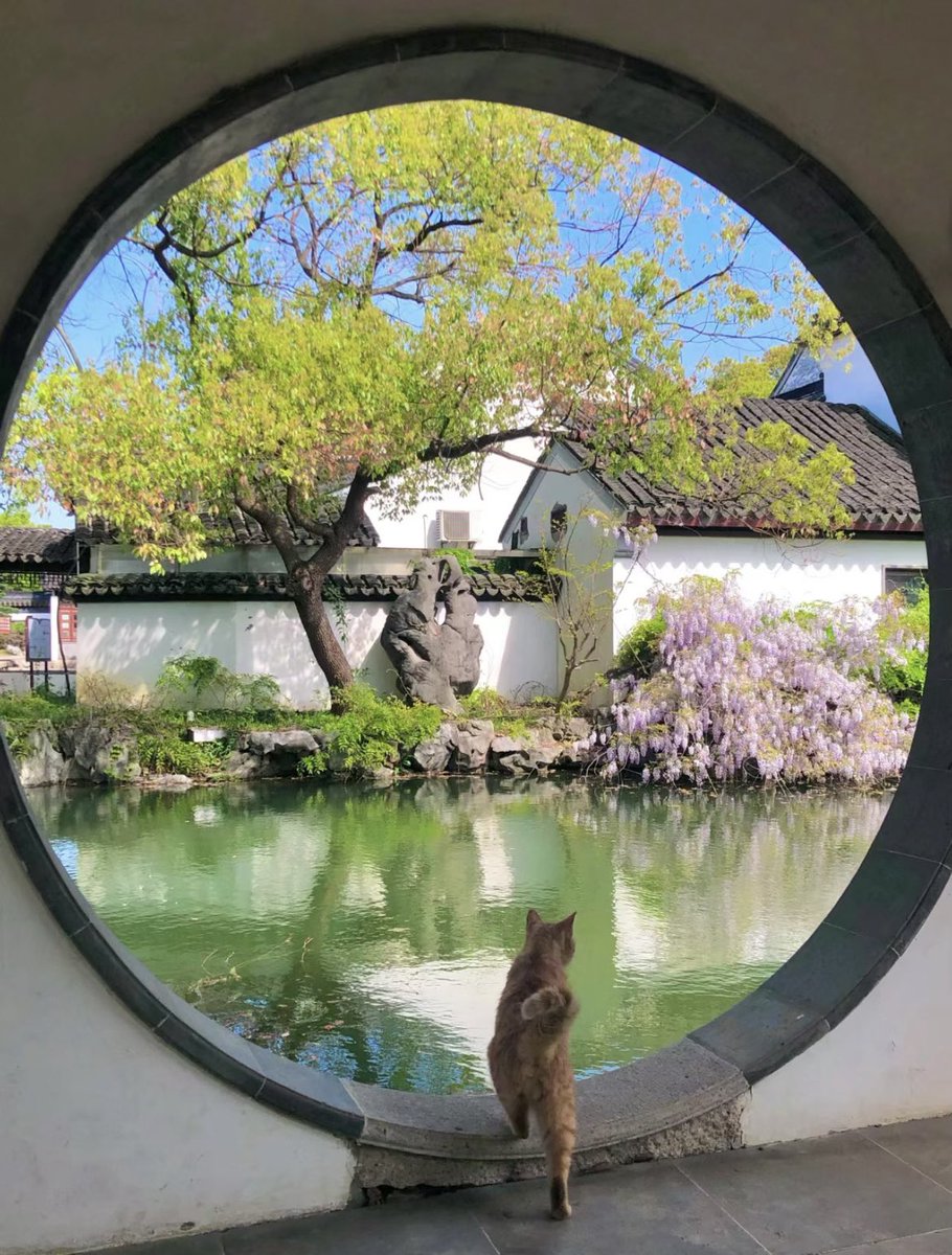 Spring In Suzhou 苏州, a city with canals, stone bridges, pagodas and gardens, the classical gardens of Suzhou were added to the list of the UNESCO World Heritage Sites. Credit: LRB: zz508323.