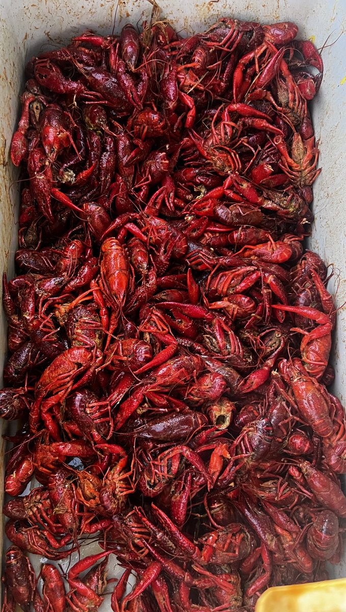 Who’s ready for crawfish?! 😁🙌🏽
#CrawfishBoil #CajunLife