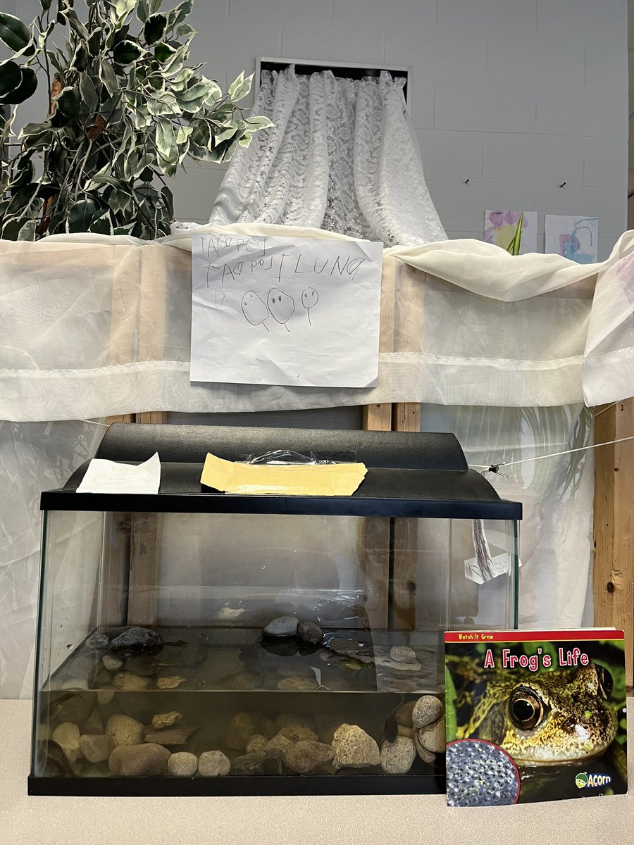 Tadpole Island is here in K4!!